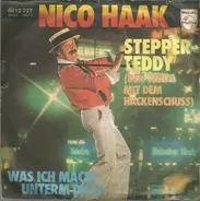 Nico Haak - Stepper-Teddy