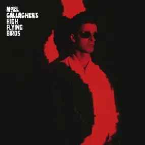 Noel Gallagher's High Flying Birds - The Dying Of The Light