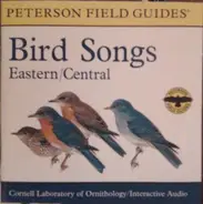 No Artist - Eastern / Central Bird Songs