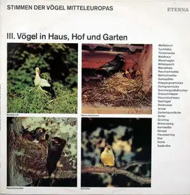No Artist - Stimmen Der Vögel Mitteleuropas - III. Vögel In Haus, Hof Und Garten