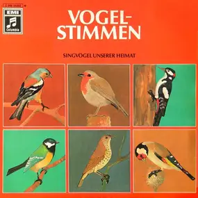 No Artist - Vogelstimmen - Singvögel Unserer Heimat