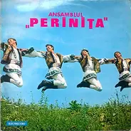 Orchestra Perinița - Ansamblul 'Perinița'