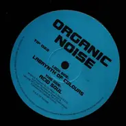 Organic Noise - Labyrinth Of Colours / Acid Soul