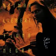 Ottmar Liebert And Luna Negra - Solo Para Ti