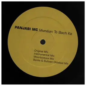 Panjabi MC - Mundian to Bach Ke