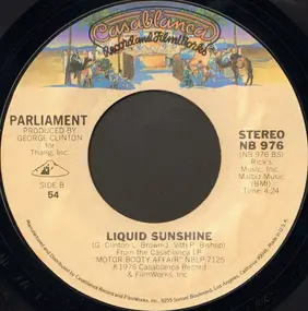 Parliament-Funkadelic - Rumpofsteelskin