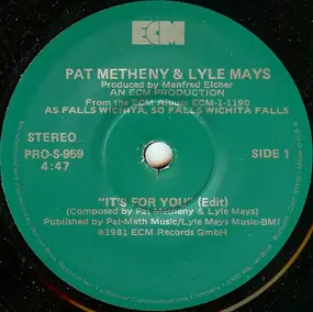 Pat Metheny - It's For You (Edit)