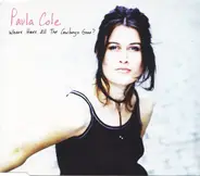 Paula Cole - Where Have All The Cowboys Gone?