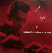 Pete Terrace - A Night In Mambo-Jazzland