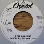 Peter Bardens - Whispers In The Wind