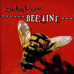 Peter Case - Beeline