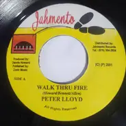 Peter Lloyd - Walk Thru Fire