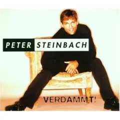Peter Steinbach - Verdammt!
