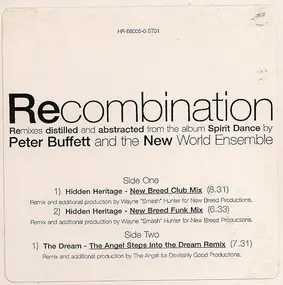 Peter Buffett - Recombination
