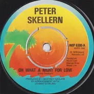 Peter Skellern - Oh What A Night For Love