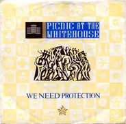 Picnic At The Whitehouse - We Need Protection