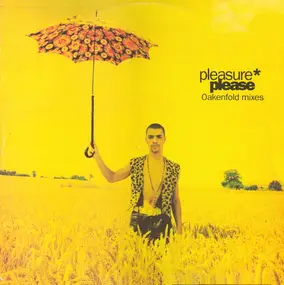 The Pleasure - Please