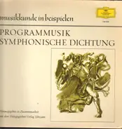 Bizet, Smetana, Richard Strauss a.o. - Programmusik Symphonische Dichtung