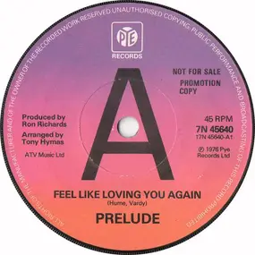Pre-lude - Feel Like Loving You Again