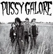 Pussy Galore - Groovy Hate Fuck