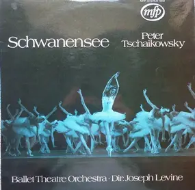 Pyotr Ilyich Tchaikovsky - Schwanensee