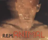 R.E.M. - Animal