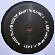 Radio Slave - Radio Slave Meets Skint Volume 2