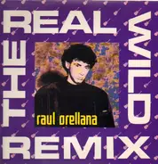Raul Orellana - The Real Wild House (Remix)
