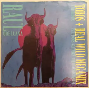Raul Orellana - Toros / Real Wild Megamix