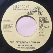 Razzy Bailey - She Left Love All Over Me
