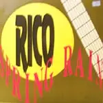 Rico Rodriguez - Spring Rain