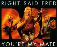 Right Said Fred - You're My Mate