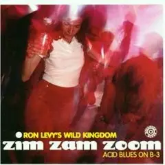 Ron Levy - Zim Zam Zoom: Acid Blues