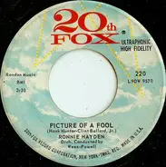 Ronnie Hayden - Picture Of A Fool