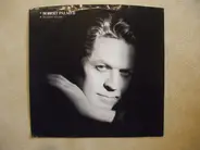 Robert Palmer - Discipline Of Love (Why Did You Do It)