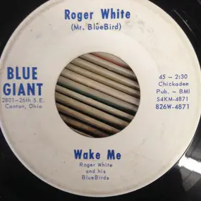 Roger - Wake Me / Our Divorce