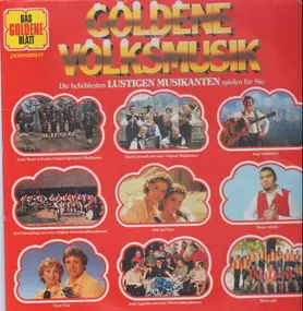 Sepp Viellechner - Goldene Volksmusik