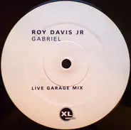 Roy Davis Jr. Featuring Peven Everett - Gabriel