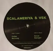 Scalameriya & VSK - Codex