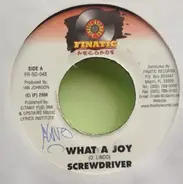 Screwdriver - What A Joy