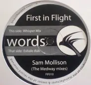 Sam Mollison - Words (The Medway Mixes)