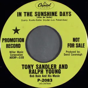 Sandler And Young - In The Sunshine Days (Hilo De Seda)
