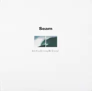 Seam - Are You Driving Me Crazy?