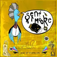 Sean Moore - Signs Of Potential Life