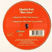 Sebastien Drums - What Is House