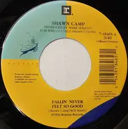 Shawn Camp - Fallin' Never Felt So Good