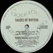 Shades Of Rhythm - Musical Freedom