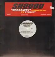Shaggy - Broadway / Stand Up