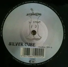 Silver Cube - Pull Up