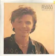 Silver Pozzoli - From You To Me